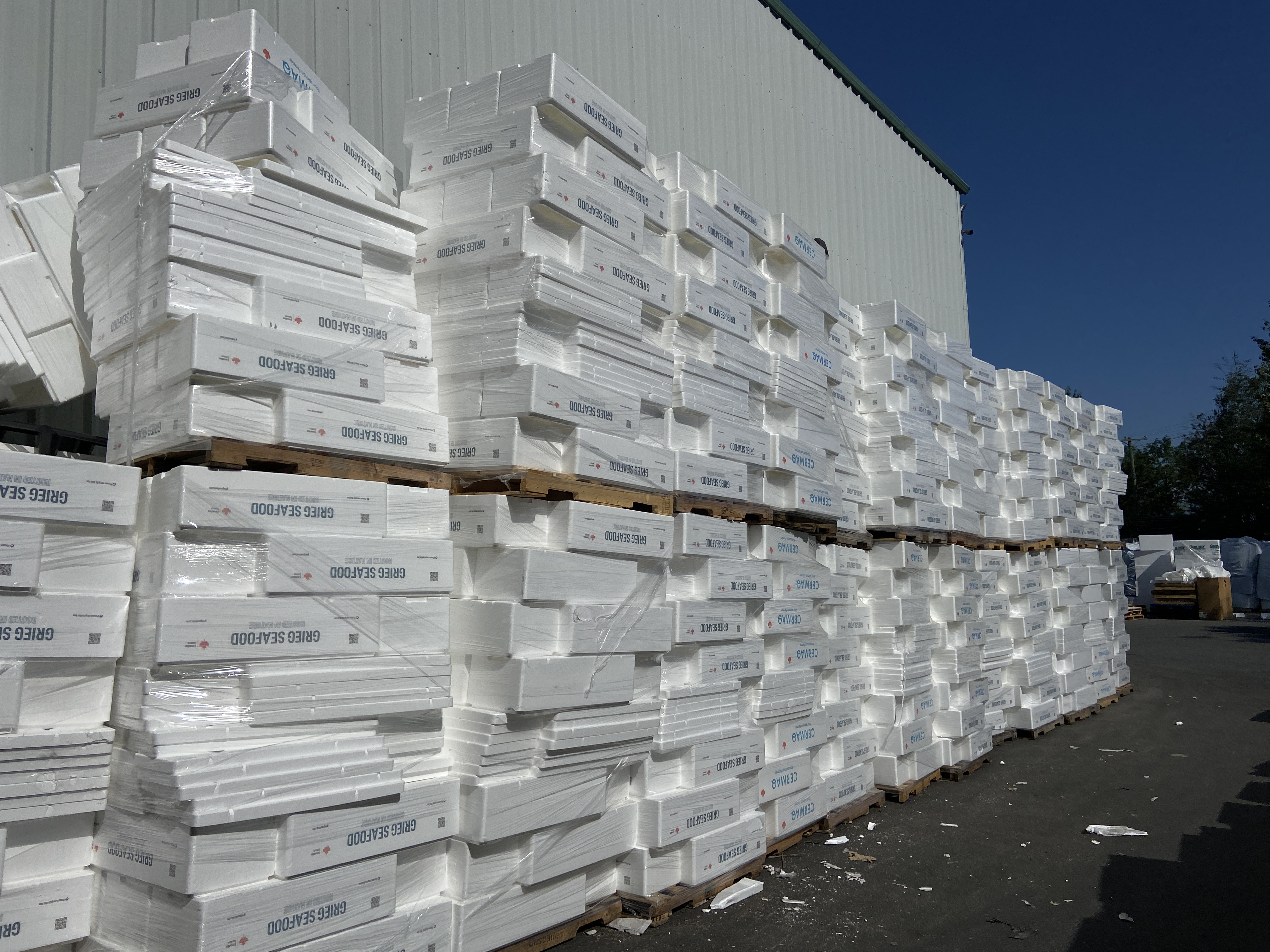 Compactadora de poliestireno puede resolver los problemas del productor de pescado y traer beneficios